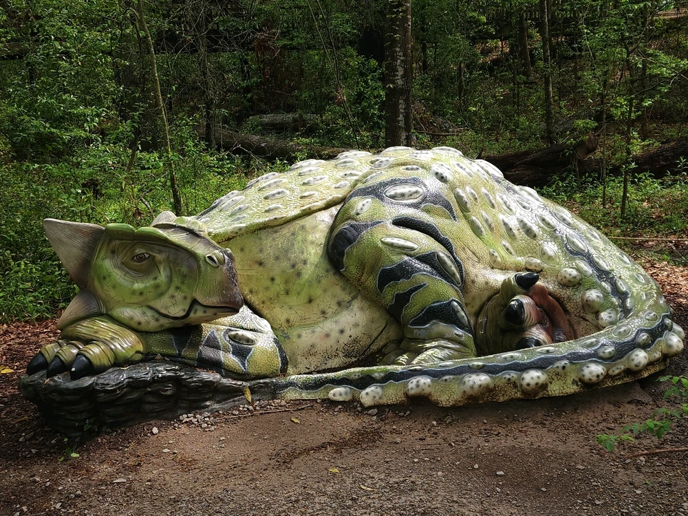 Image uploaded by Mike