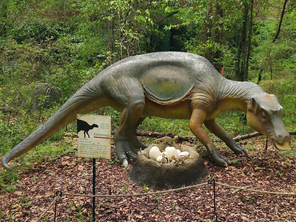 Image uploaded by Mike