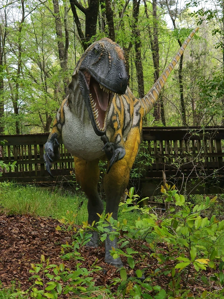 Image uploaded by Mike