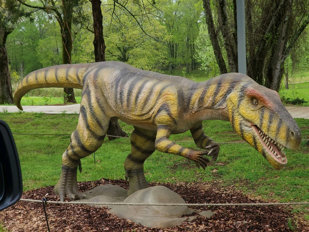 Image uploaded by Mike