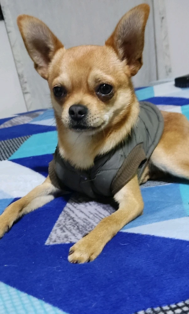 GIF uploaded by Jhair