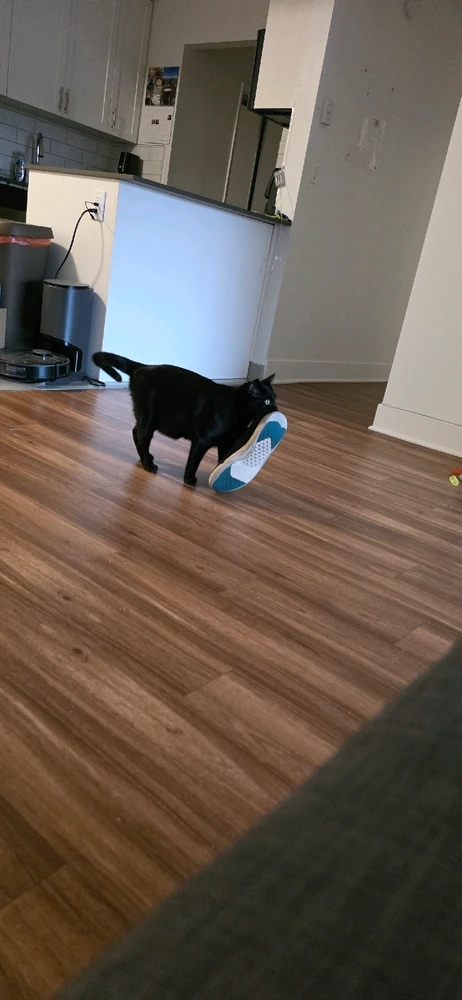 Image uploaded by Breyden