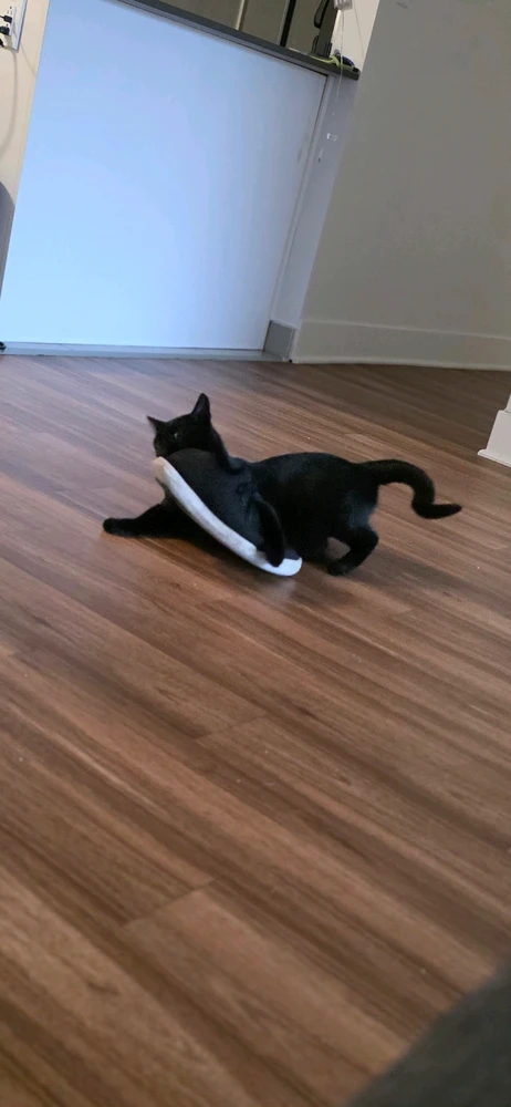 Image uploaded by Breyden