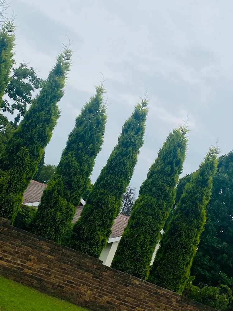 GIF uploaded by Cannigia