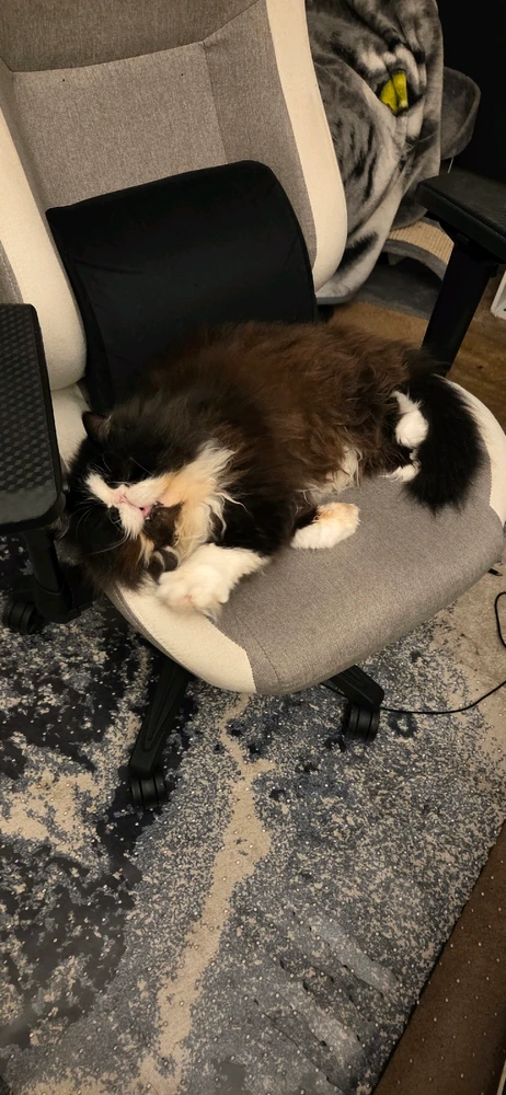 GIF uploaded by Beso