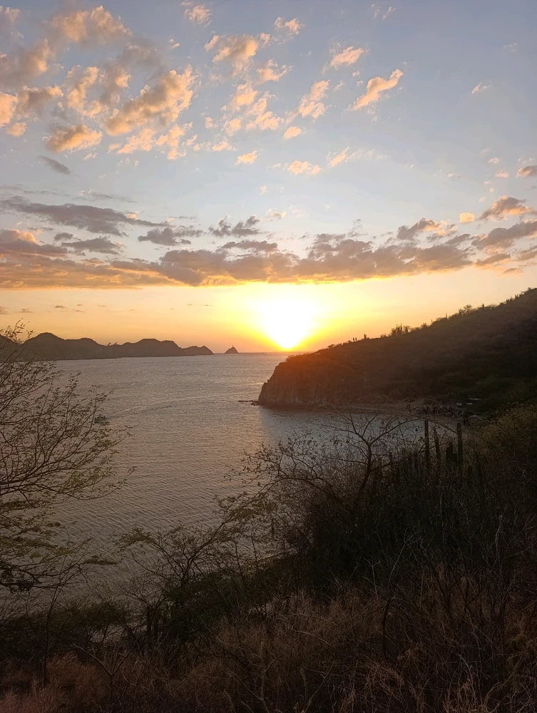 Image uploaded by Gustavo Araque