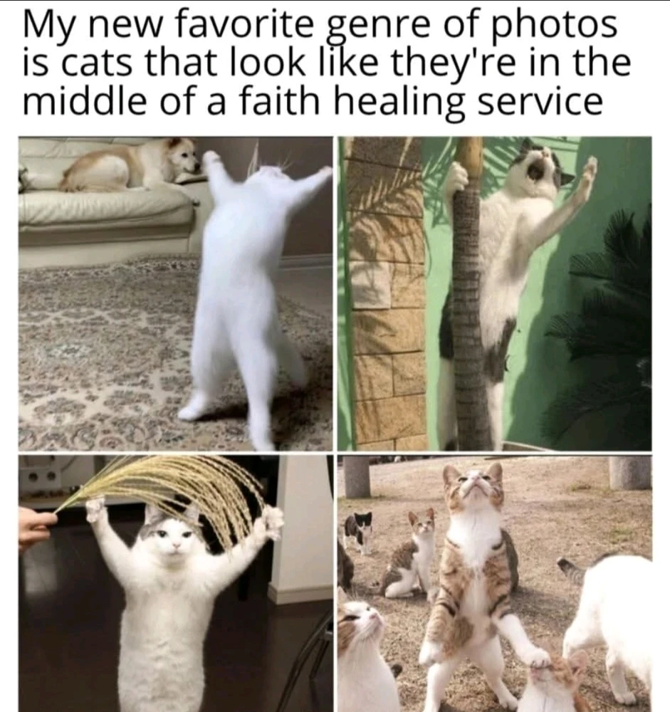 GIF uploaded by Nat RB