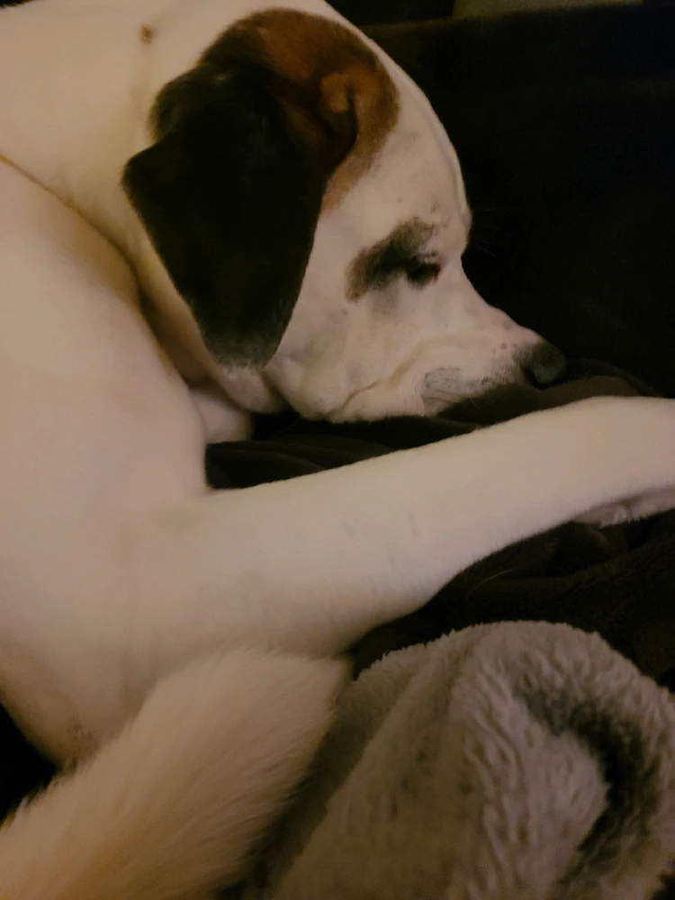 GIF uploaded by Brooke