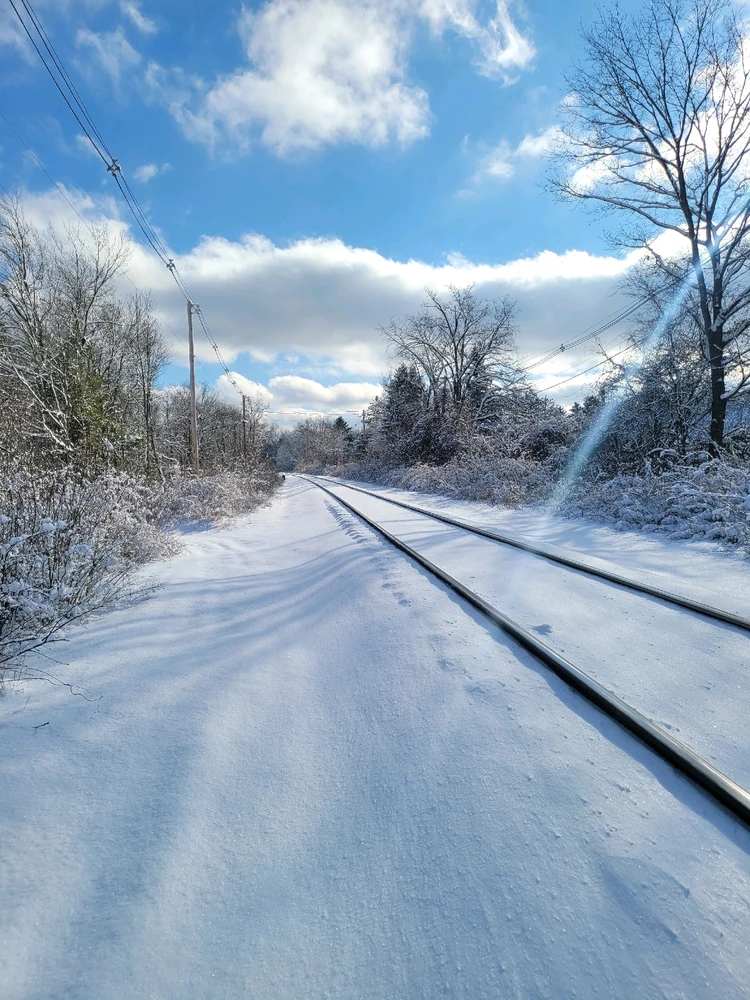 Image uploaded by Brad