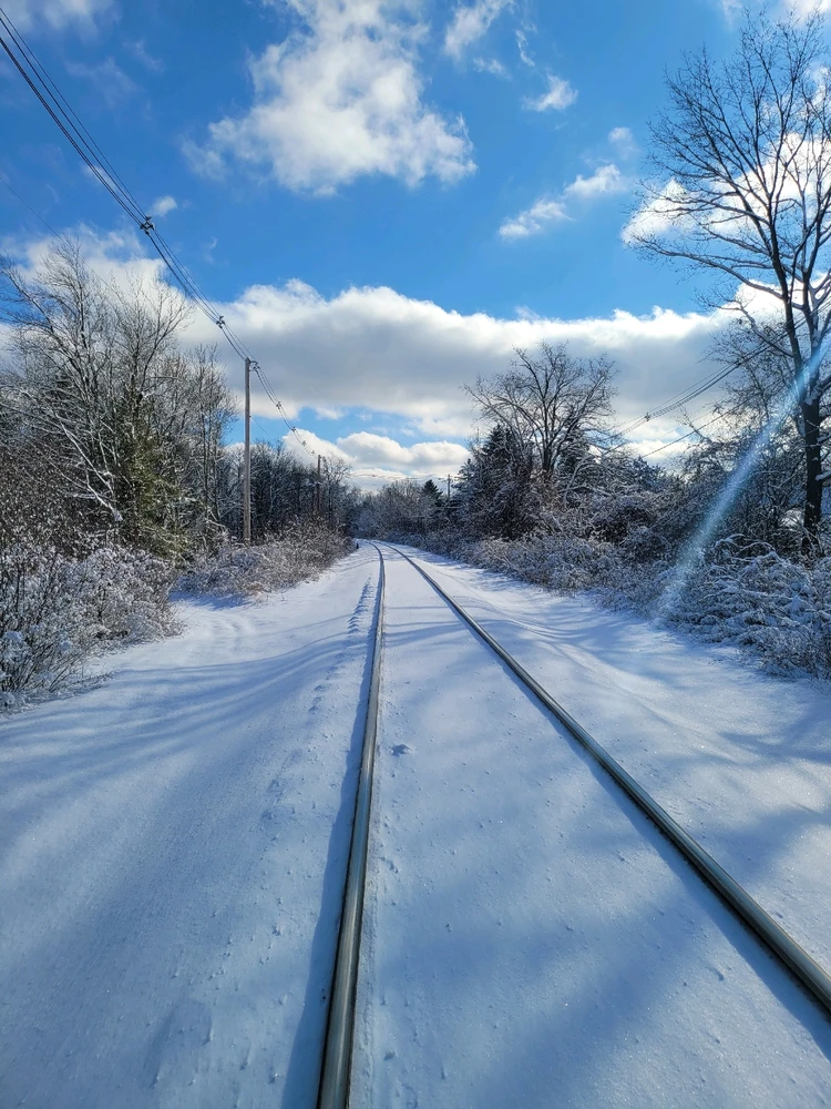 Image uploaded by Brad