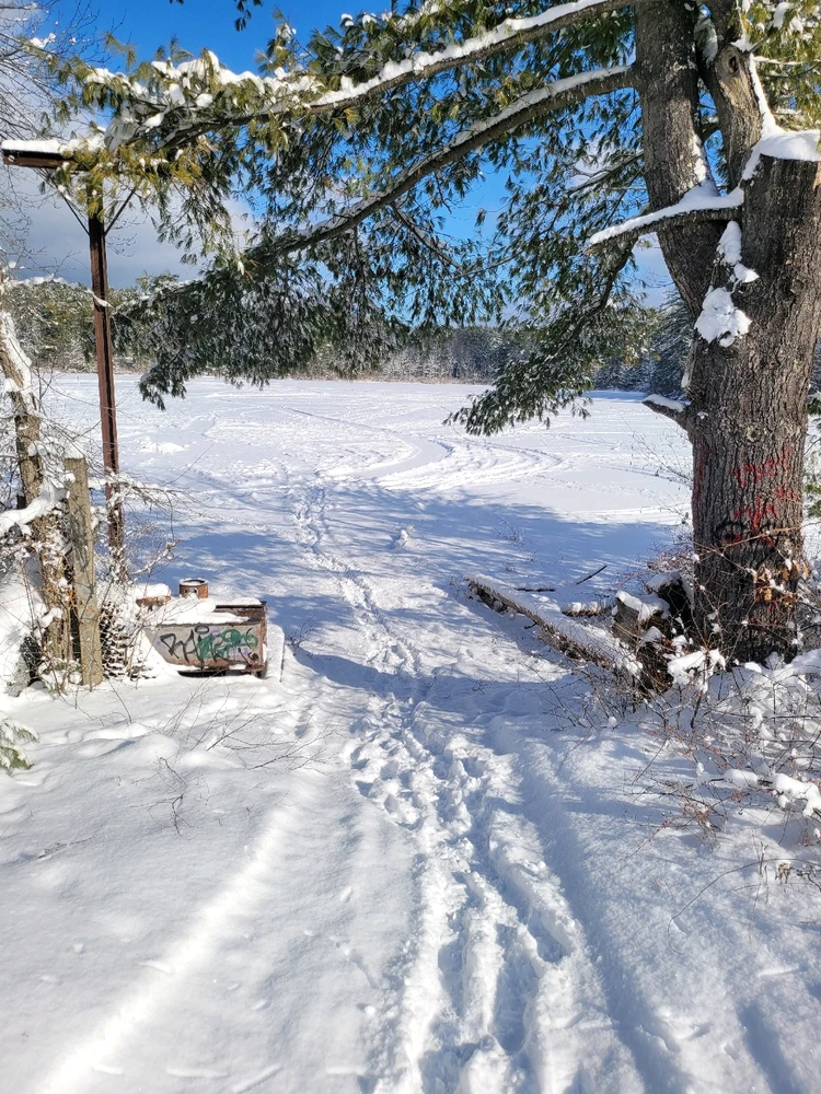 Image uploaded by Brad