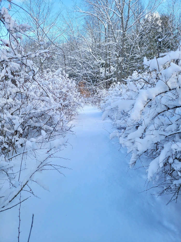 Image uploaded by Brad