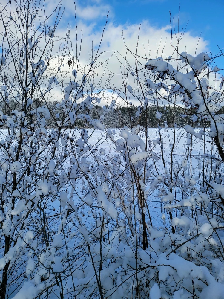 Image uploaded by Brad