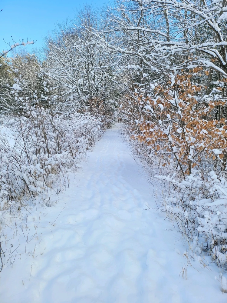 Image uploaded by Brad