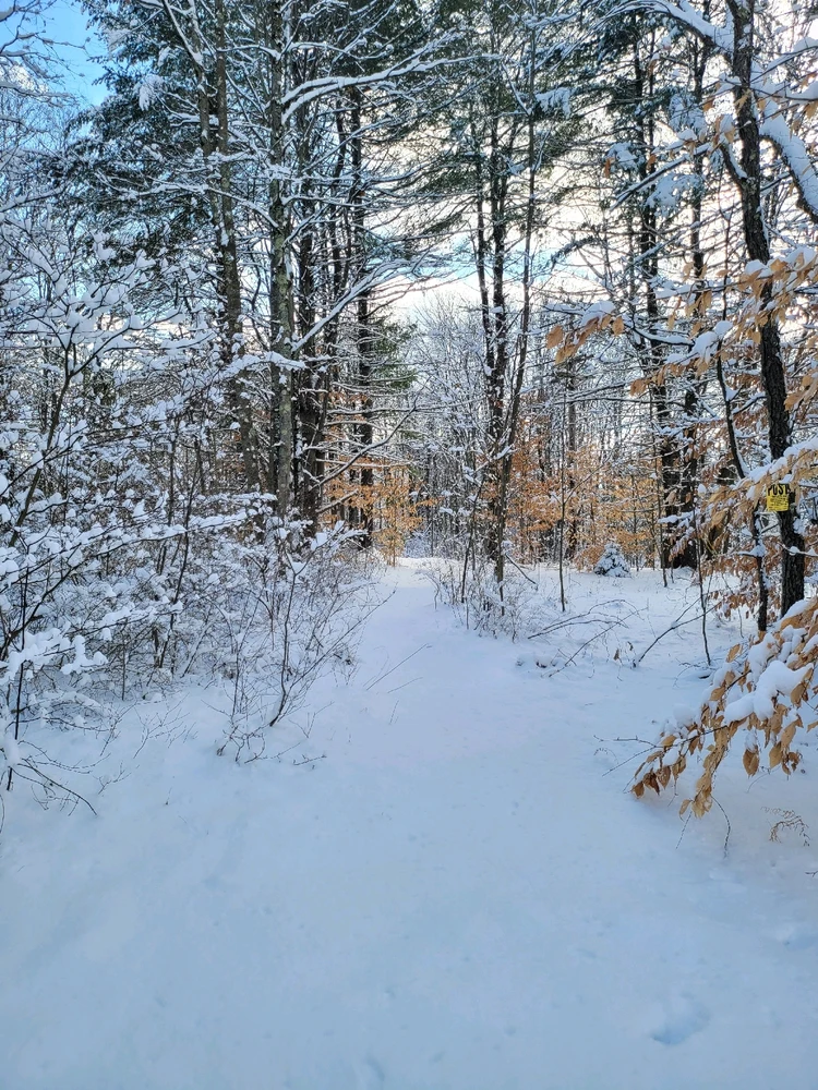 Image uploaded by Brad