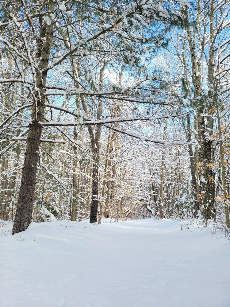 Image uploaded by Brad