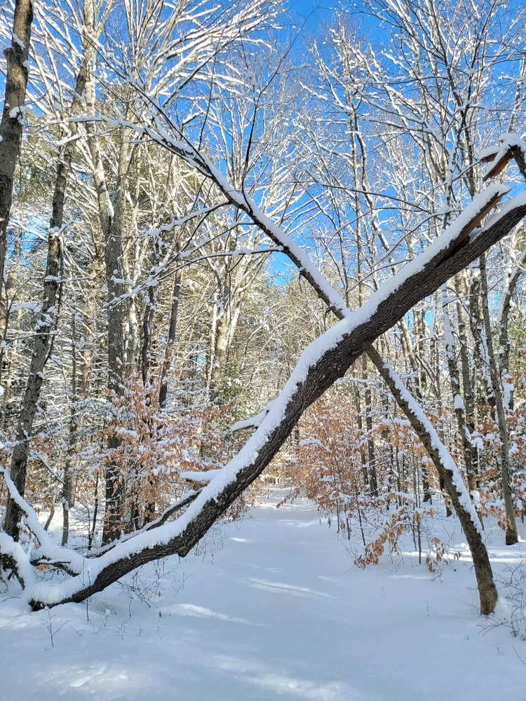 Image uploaded by Brad