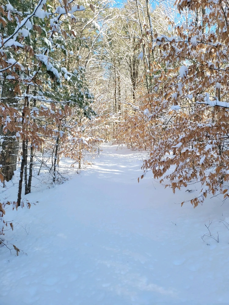 Image uploaded by Brad