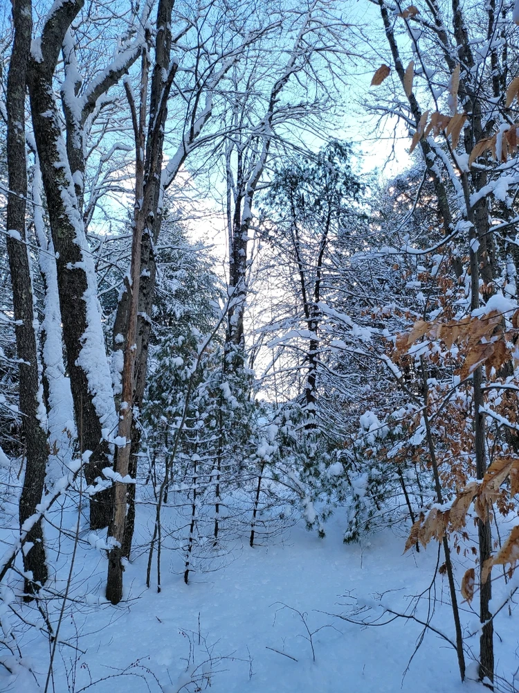 Image uploaded by Brad