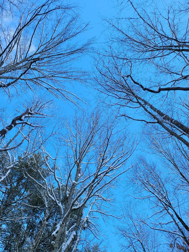 Image uploaded by Brad