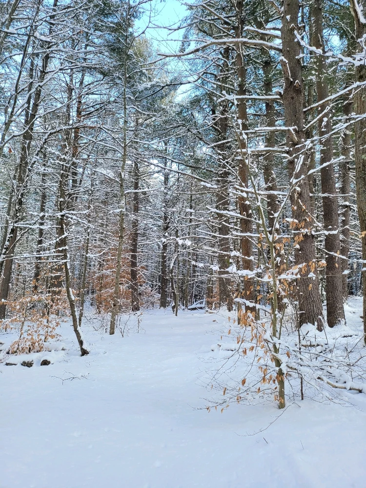 Image uploaded by Brad