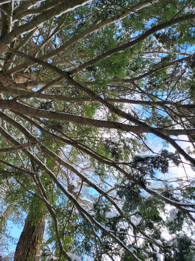 Image uploaded by Brad