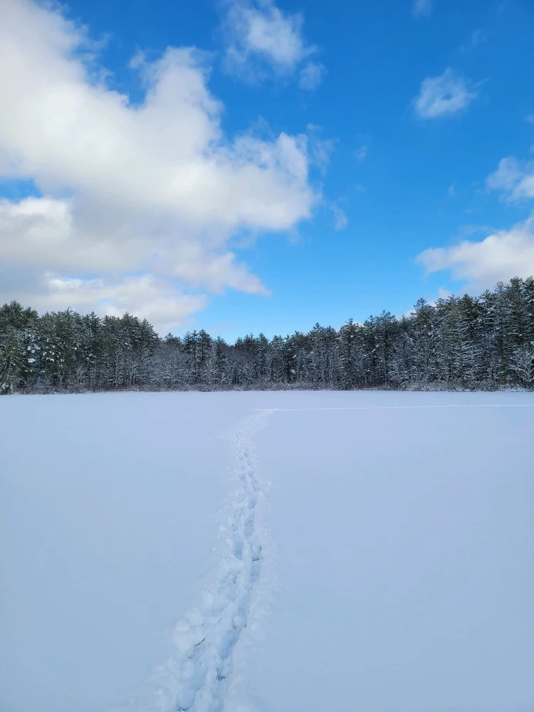 Image uploaded by Brad