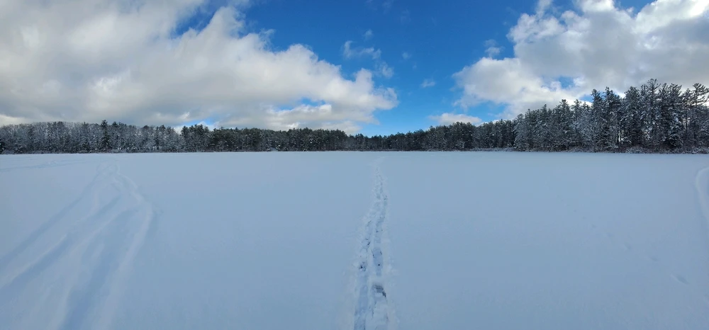 Image uploaded by Brad