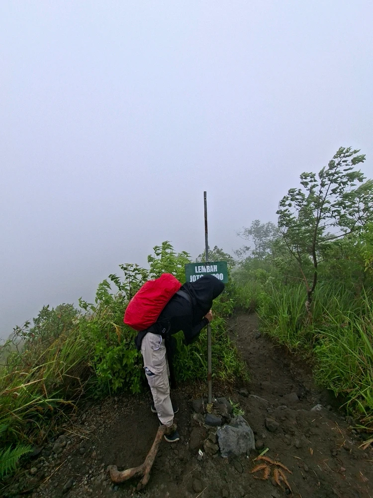 Image uploaded by Agnesi