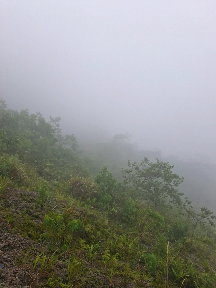 Image uploaded by Agnesi