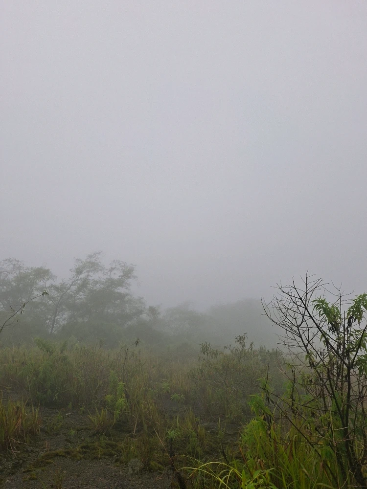 Image uploaded by Agnesi