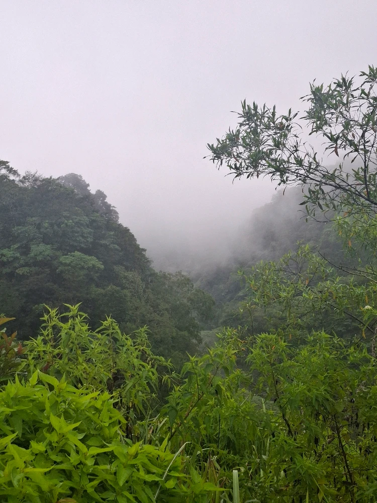 Image uploaded by Agnesi