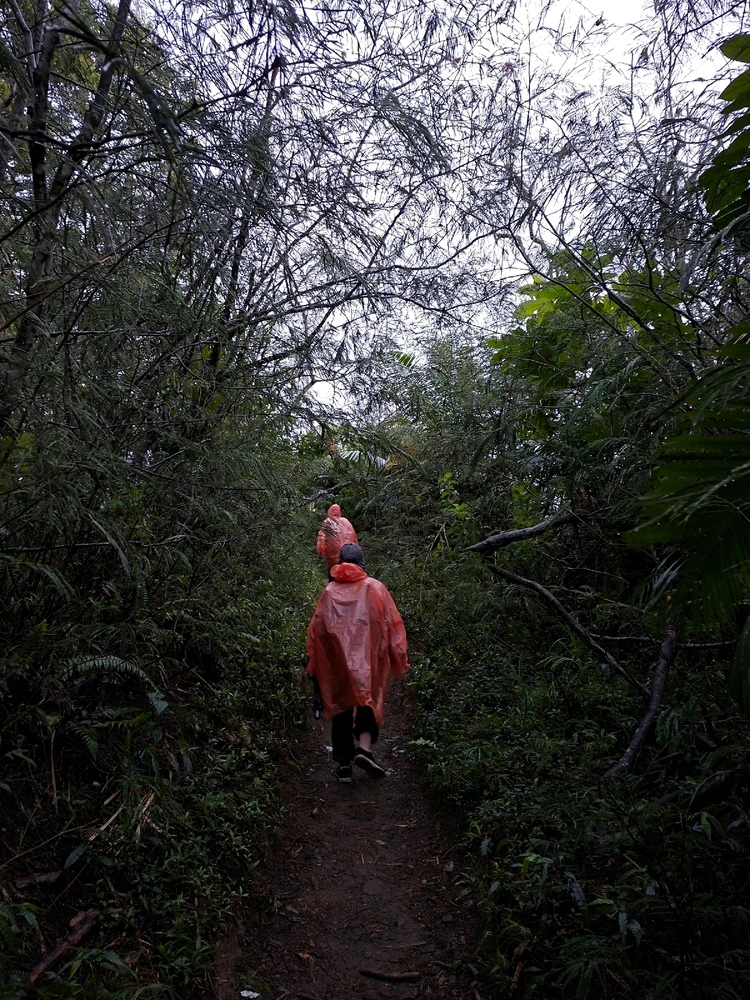 Image uploaded by Agnesi