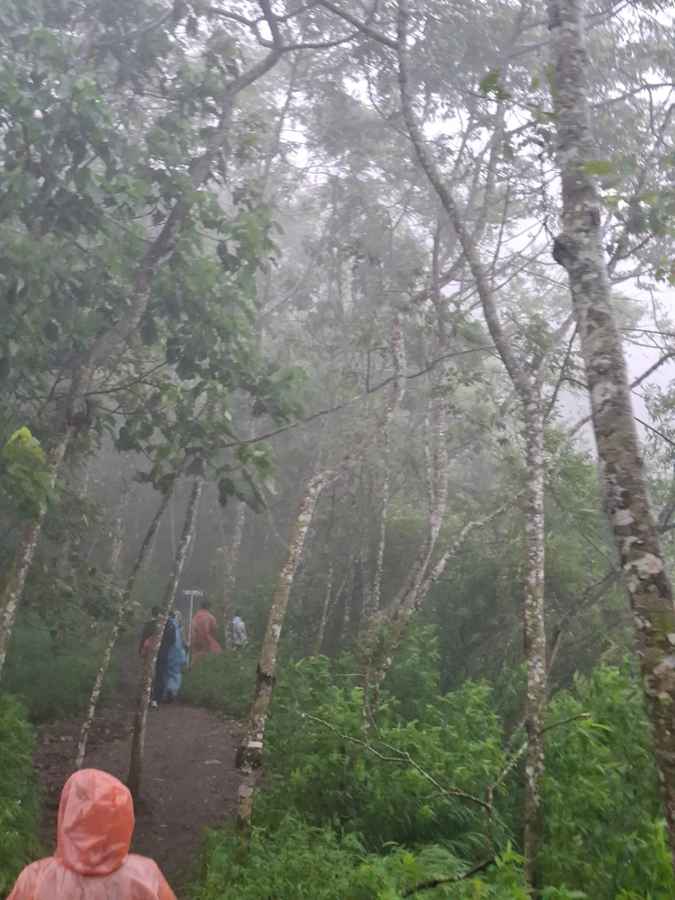 Image uploaded by Agnesi