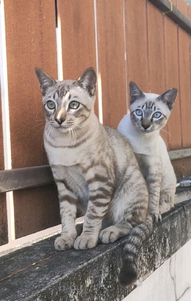 GIF uploaded by Jellyfish