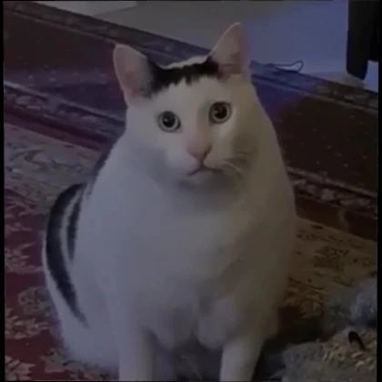 GIF uploaded by Tony