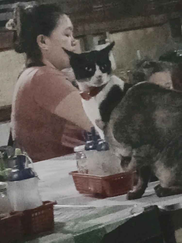 Image uploaded by Jenekins