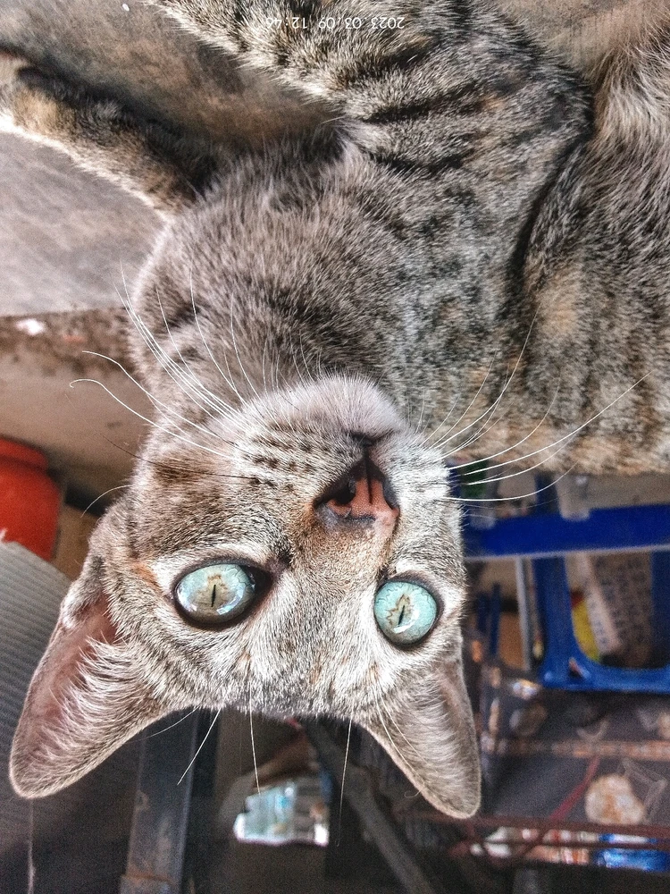 Someone would  say it's AI 🙄


