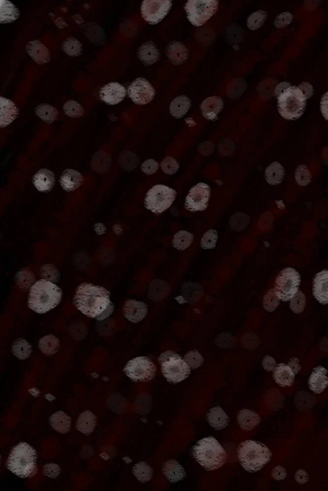 GIF uploaded by Kaissy