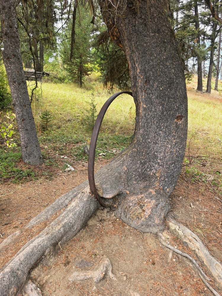 Image uploaded by Lynnae