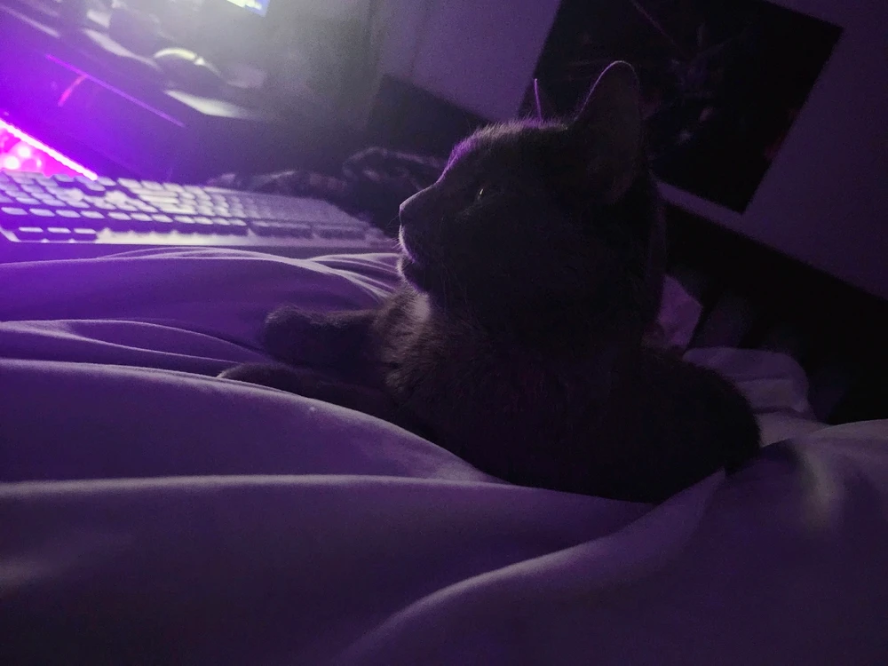 GIF uploaded by Oscar