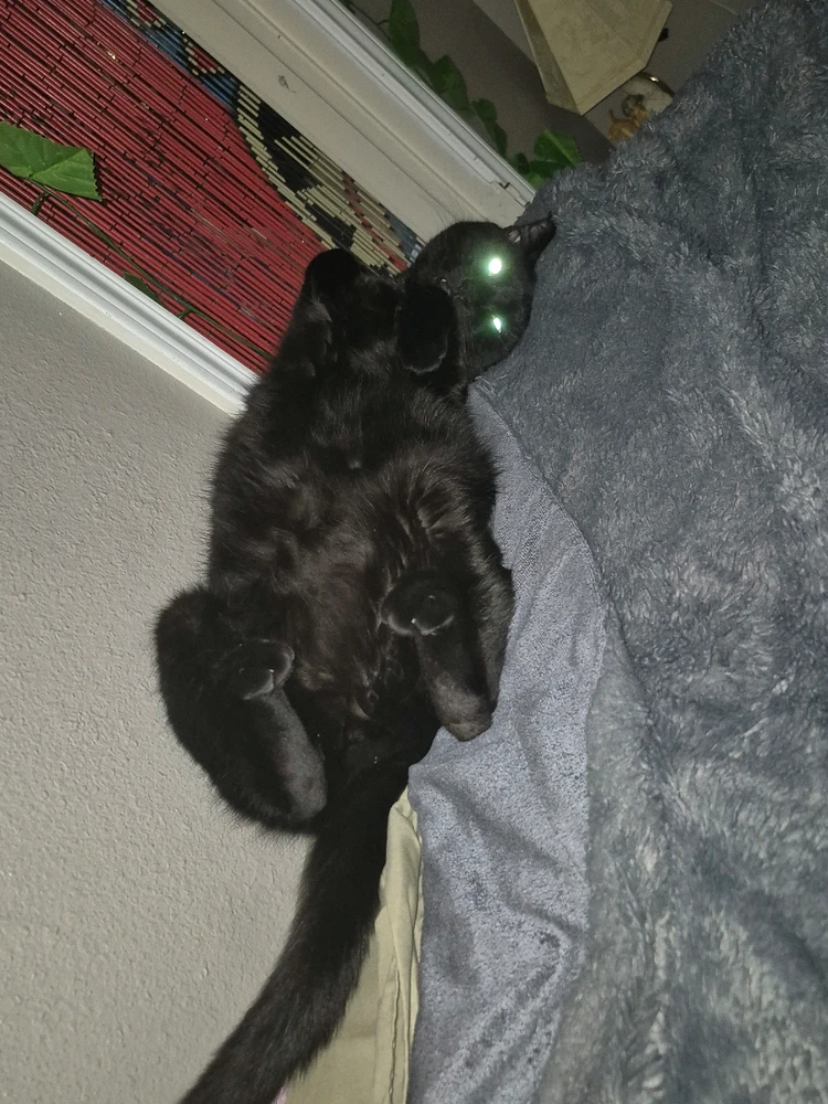 Image uploaded by Zion