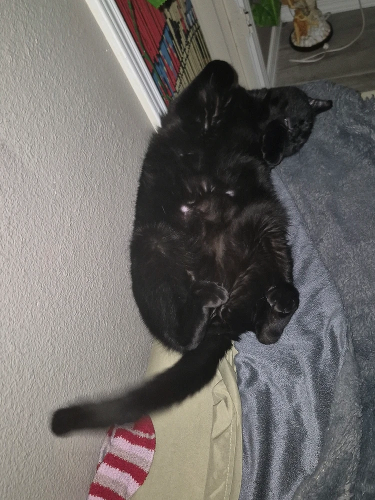 Image uploaded by Zion