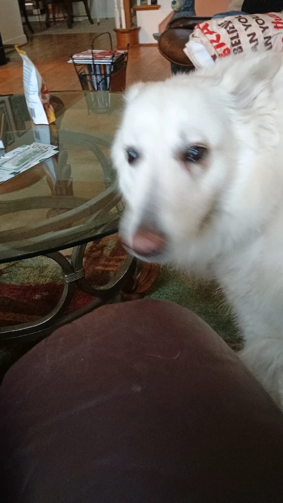 GIF uploaded by Cole