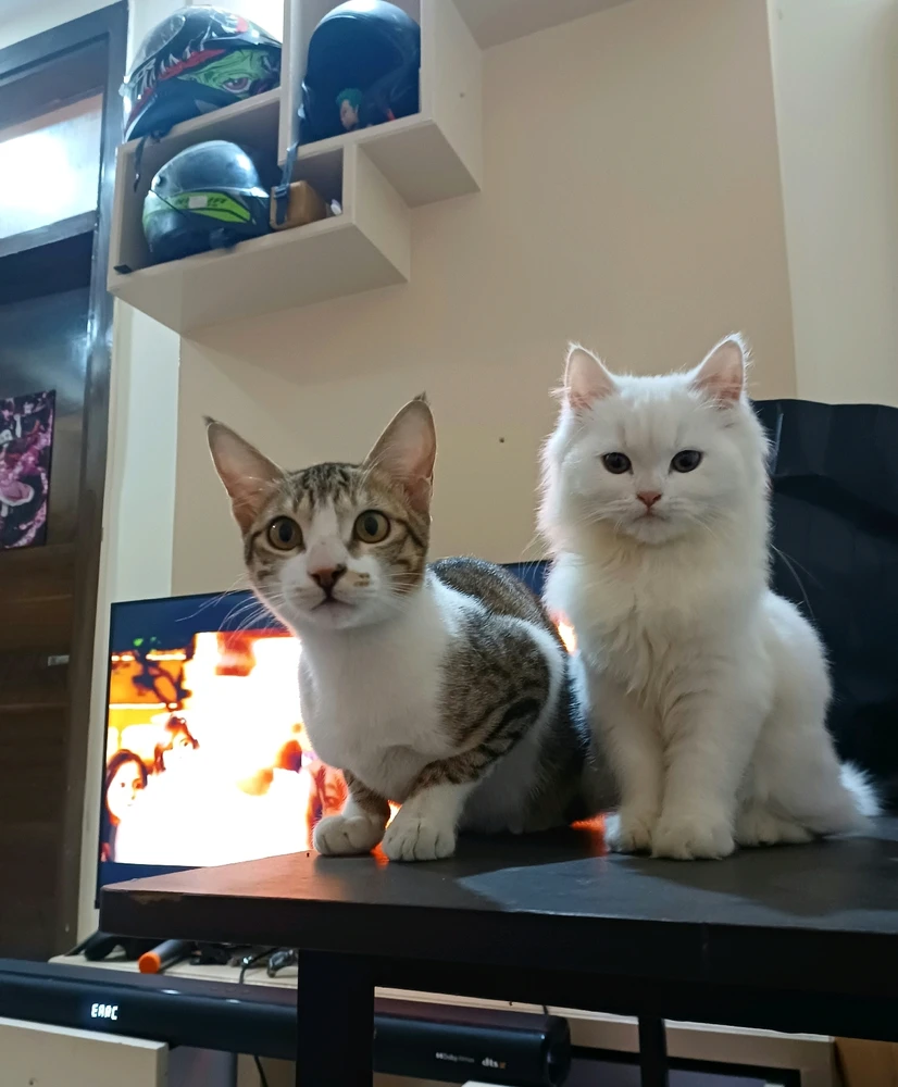 GIF uploaded by Shuvam