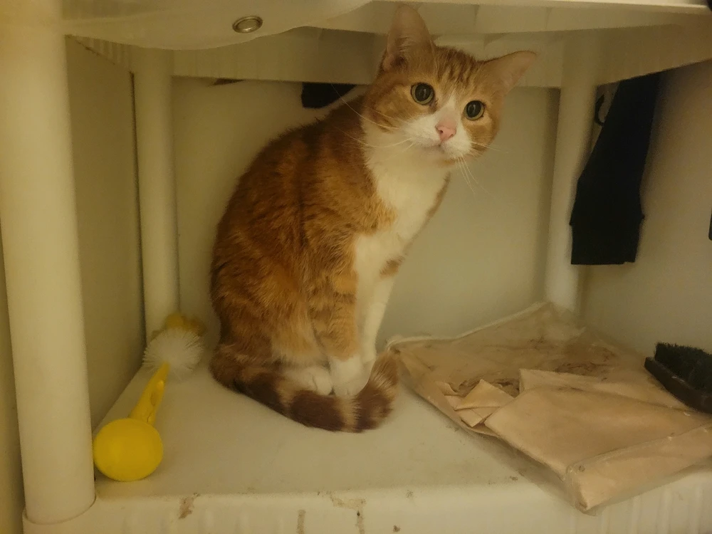 GIF uploaded by Jayla