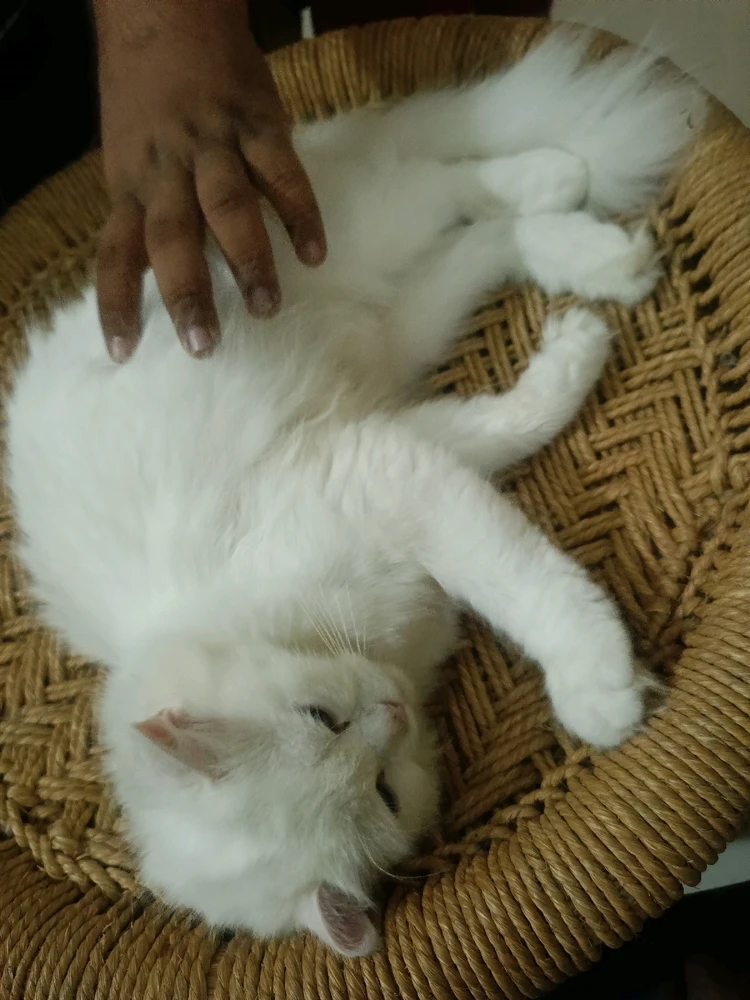 GIF uploaded by Adiii