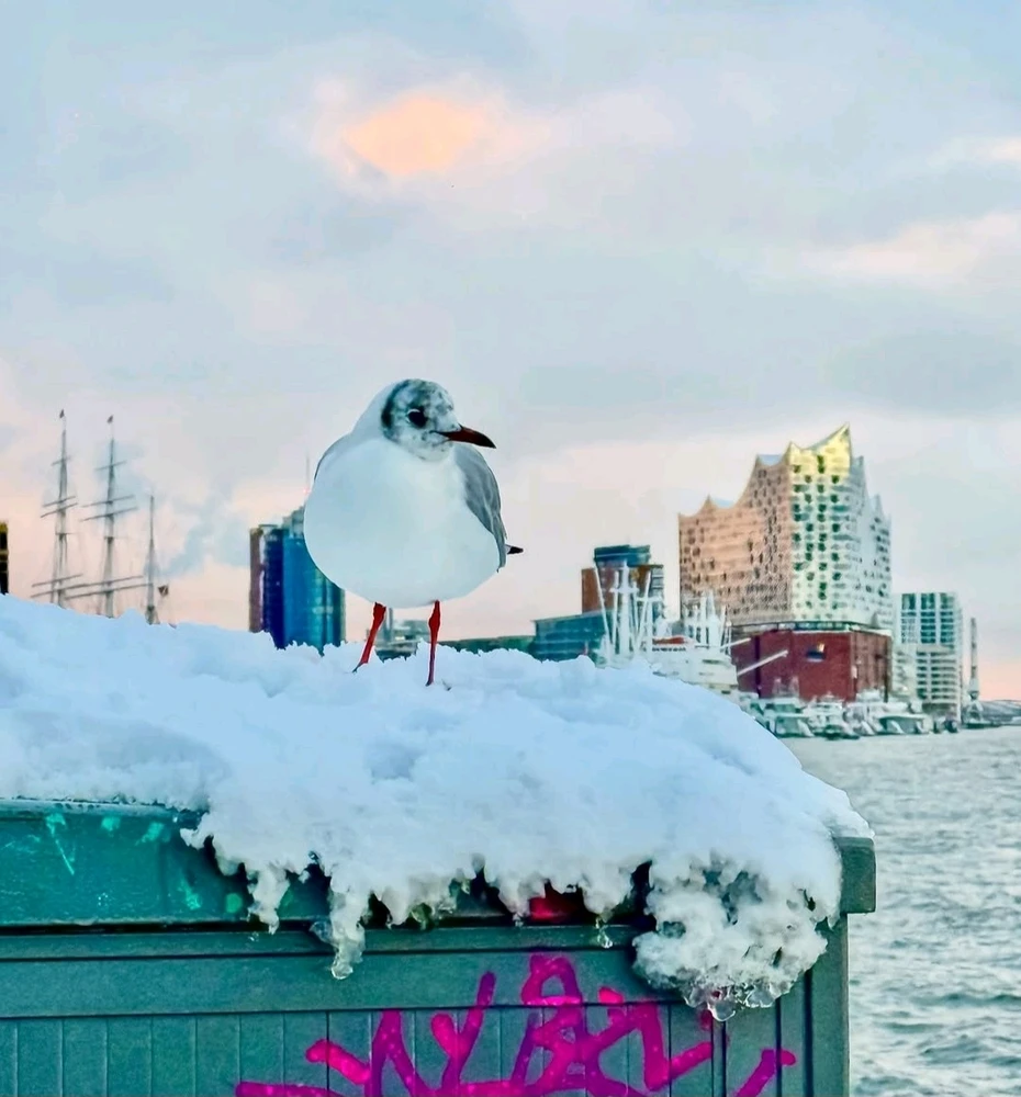 Bild hochgeladen von Funkaflix