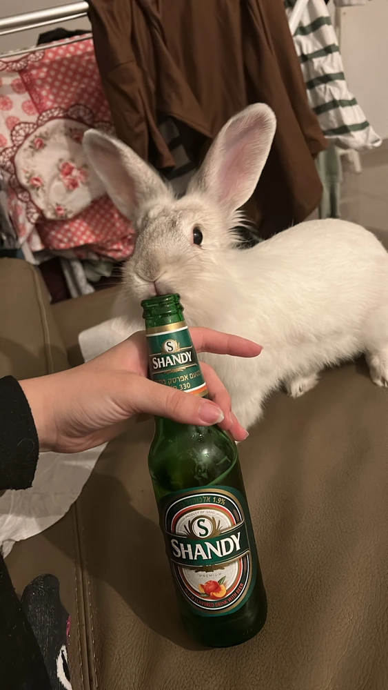 GIF uploaded by Yaara