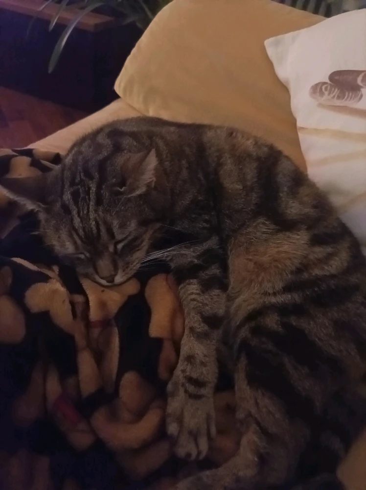 Immagine caricata da Gabriele